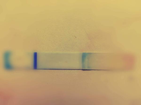 Test Clearblue+ dělá falešnáky?