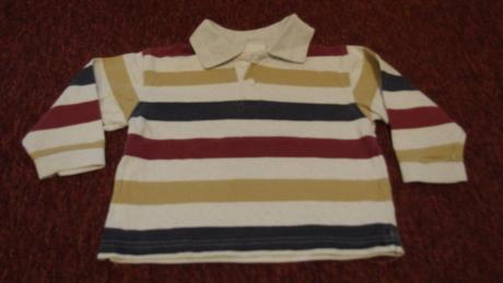 Polokošile palomino, palomino,92