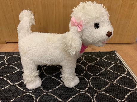 Sada plyšových domácich zvířátek,