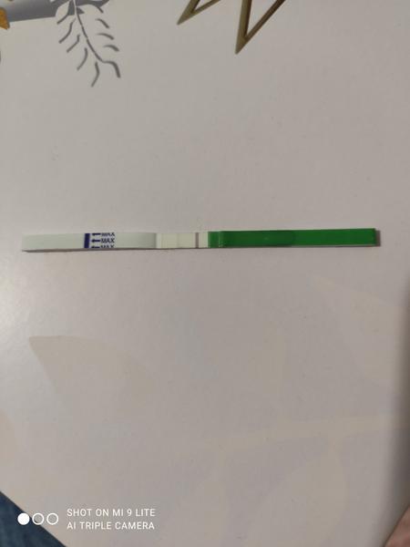 Ovulace. Jak poznat, zda již proběhla?