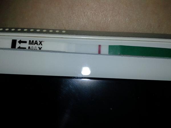 Testování před ms. Myslíte, že by se mohlo zadařit?