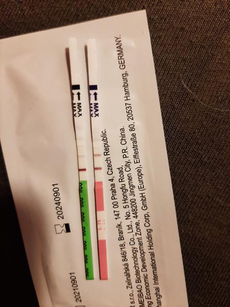 Může být pozitivní ovulační a těhotenský test současně?