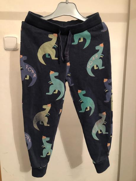 Modré tepláky s dinosaury, 98