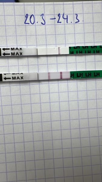 Mají ovulační testy vliv na šanci otěhotnět?