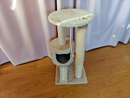 Kočičí škrabadlo s domečkem, 