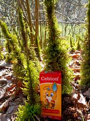 Cebion kapky 30ml