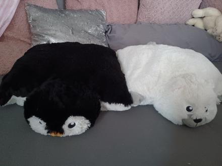 Plyšový lední medvěd, 