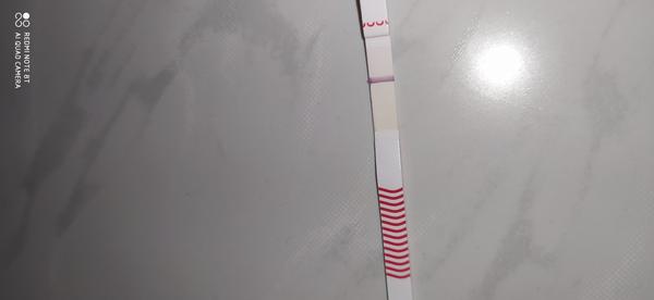 Test. Vidíte něco?