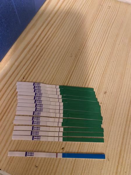 Sílící ovulační test před menstruací. Je to těhotenství?