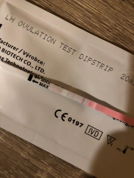 Může ovulační test prozradit rané těhotenství?