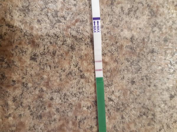 Ovulační test. Probíhá ovulace nebo teprve přijde?