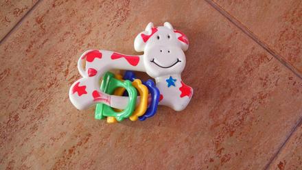 Chrastítko kravička, 