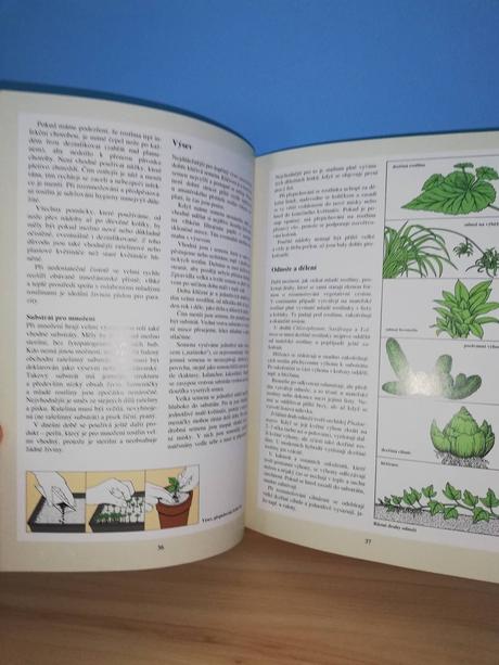 Pokojové rostliny správný výběr a správná péče,
