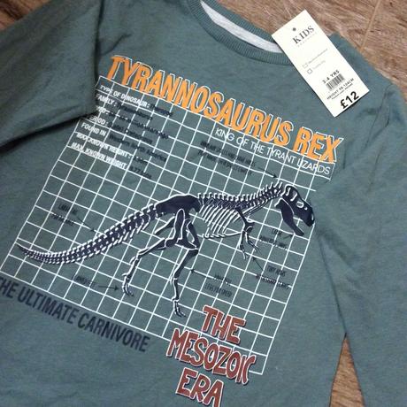 Bavlněné tričko ,,tyrannosaurus rex", 104