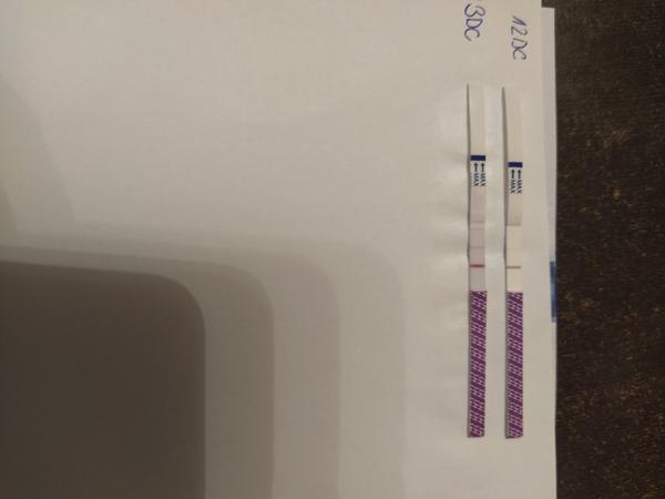 Ovulační testy. Testuje se každý den?