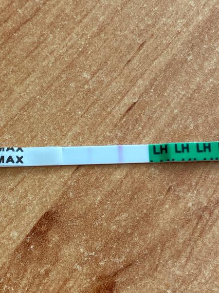 Ovulační test. Myslíte, že mám ovulaci nebo teprve přichází?