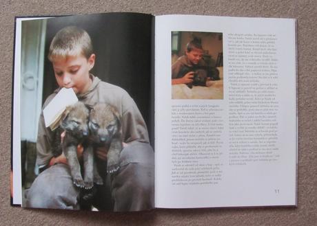 Bráškové - prázdniny s vlčaty, 