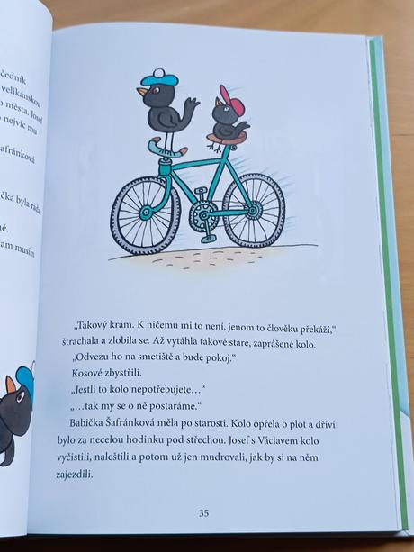 Dětská kniha - večerníček kosí bratři,
