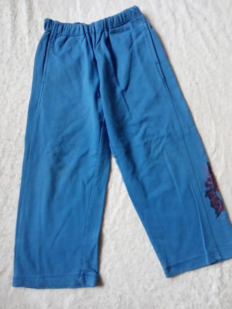 Tepláky 4-6let, wolf,110