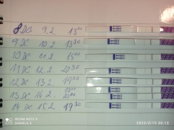 Mohu spoléhat na ovulační testy při plánování těhotenství?