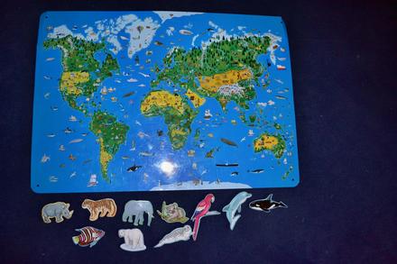 Magnetická mapa světa -fauna,