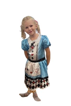 Karnevalový kostým šaty alenka v říši divů,