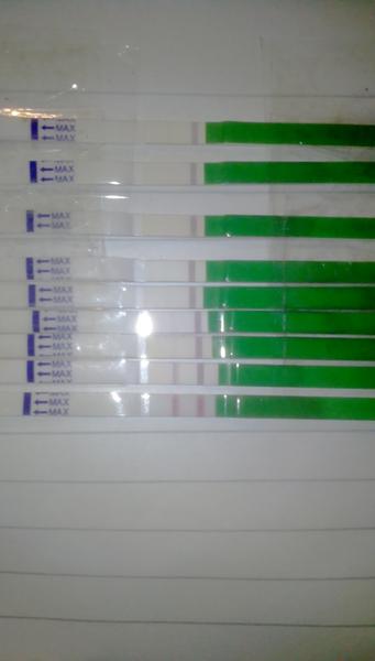 Ovulační test, je pozitivní?