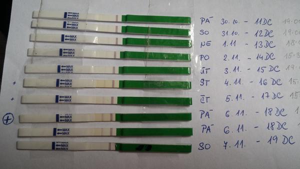Ovulační test, je nějaký pozitivní?
