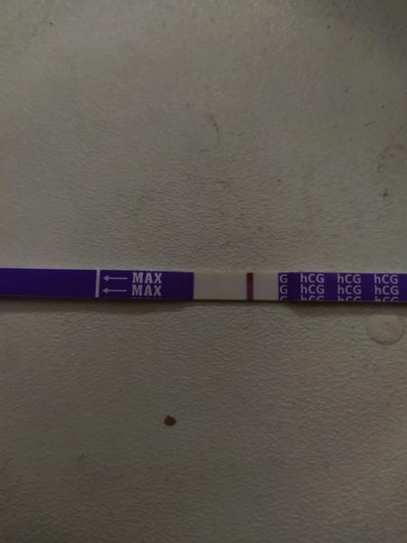 Ryska nebo duch 8. dpo?