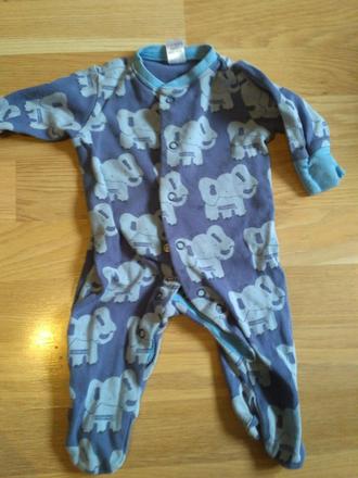 Overal se slony, next,62