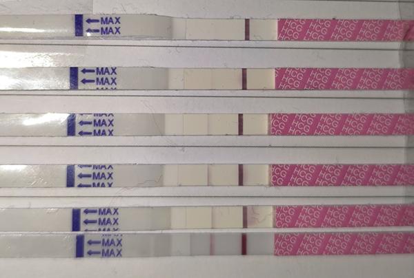 Testovací proužky po spontánním potratu. Sílení výsledků?