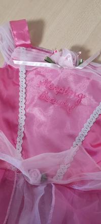 Šípková růženka, 