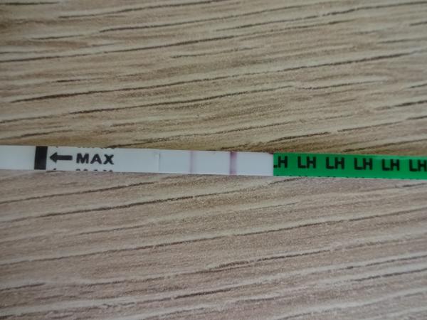 Pozitivní test? Kdy na to hupsnout?