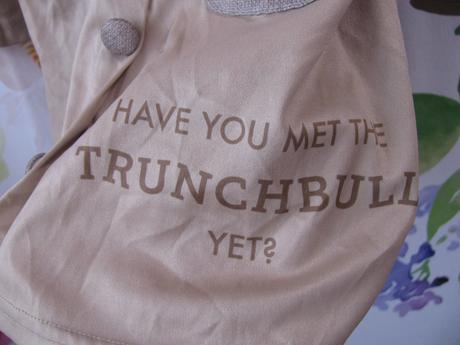 Kostým-roald dahl-matylda,miss trunchbull kids, 