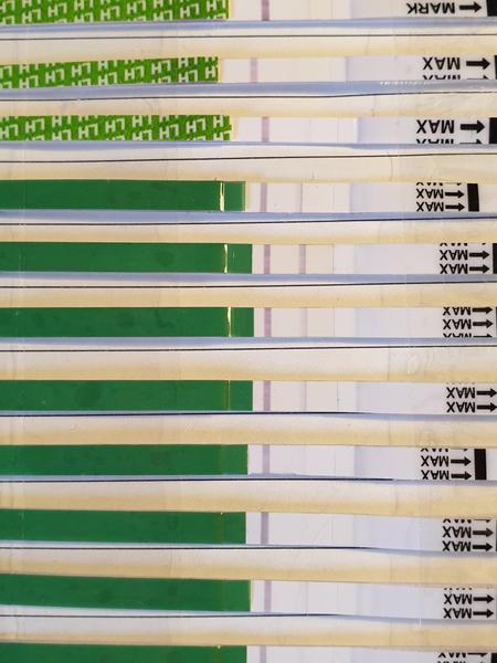 Ovulační test. Co myslíte, je pozitivní?