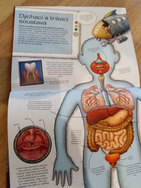 Kniha lidské tělo, 