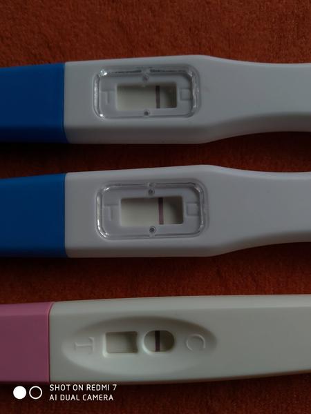 Těhotenské testy. Jsem těhotná?