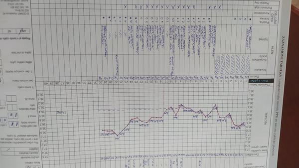 Graf BT. Kdy byla ovulace?