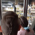 exkurze ve sklarne v harrachove malovan