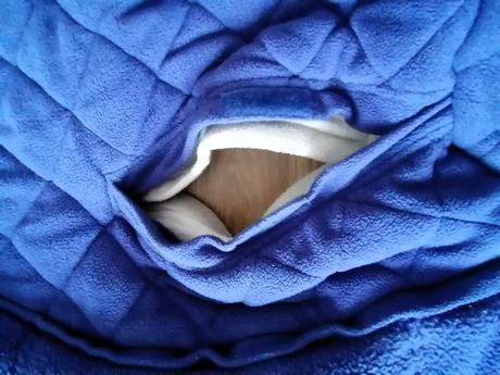 Fusak lodger bunker outdoor, lodger