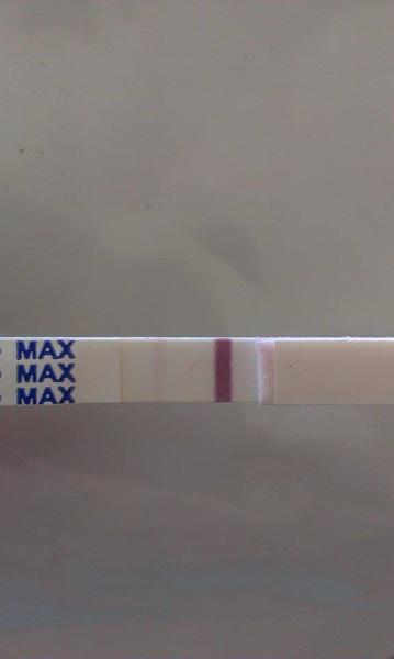 Tak asi se nám zadařilo 🙂