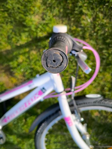 Kolo leader fox 24', 24