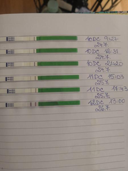 Pozitivní ovulační test - kdy naplánovat sex?