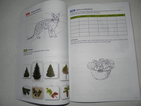 Nový pracovní sešit prvouka hrou 1.-3. třída, 