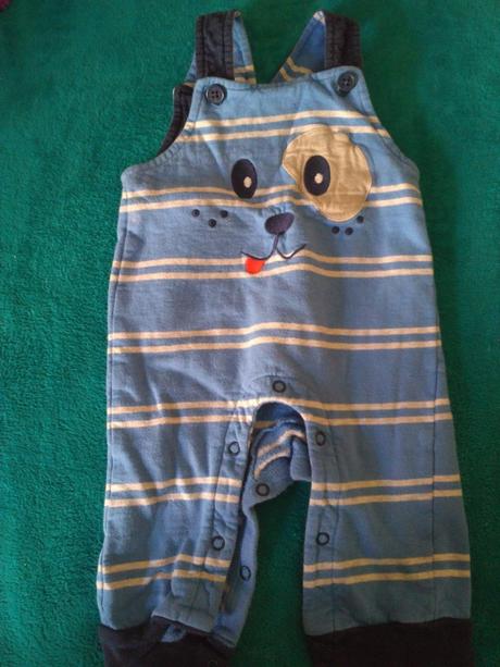 Pruhované, lacle, lacláče s pejskem, bluezoo,68