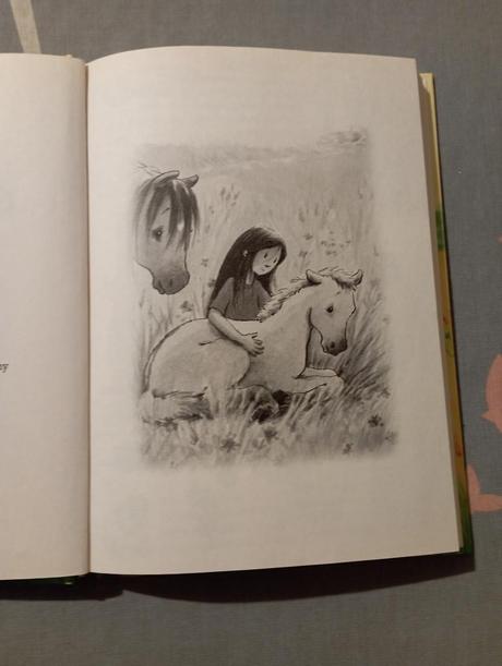 Anička zachraňuje hříbátko, 