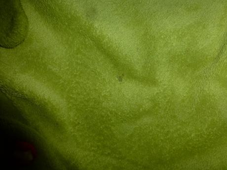 Vak pinkie + hrad zámek zrcadlo,