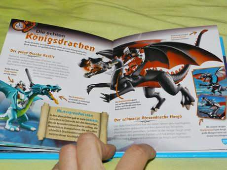 Playmobil drachenritter abendteuerbuch,