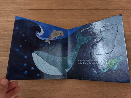 Knížka s otevíracími okýnky / lift-a-flap-book,