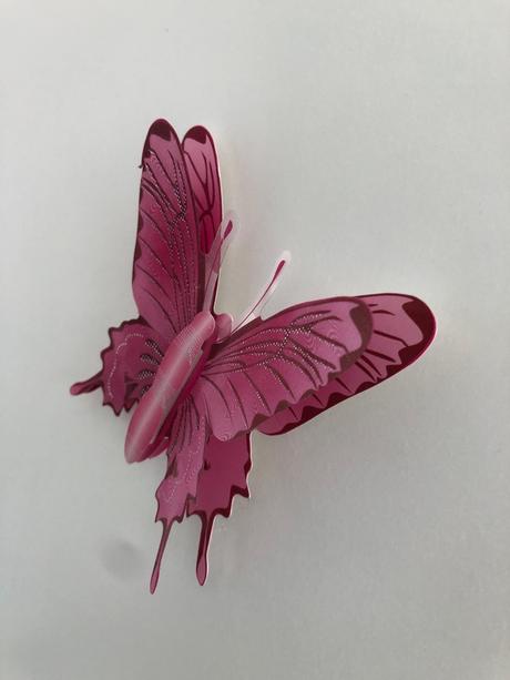 Dekorace motylu do detskeho pokojicku na zed,skrin, 